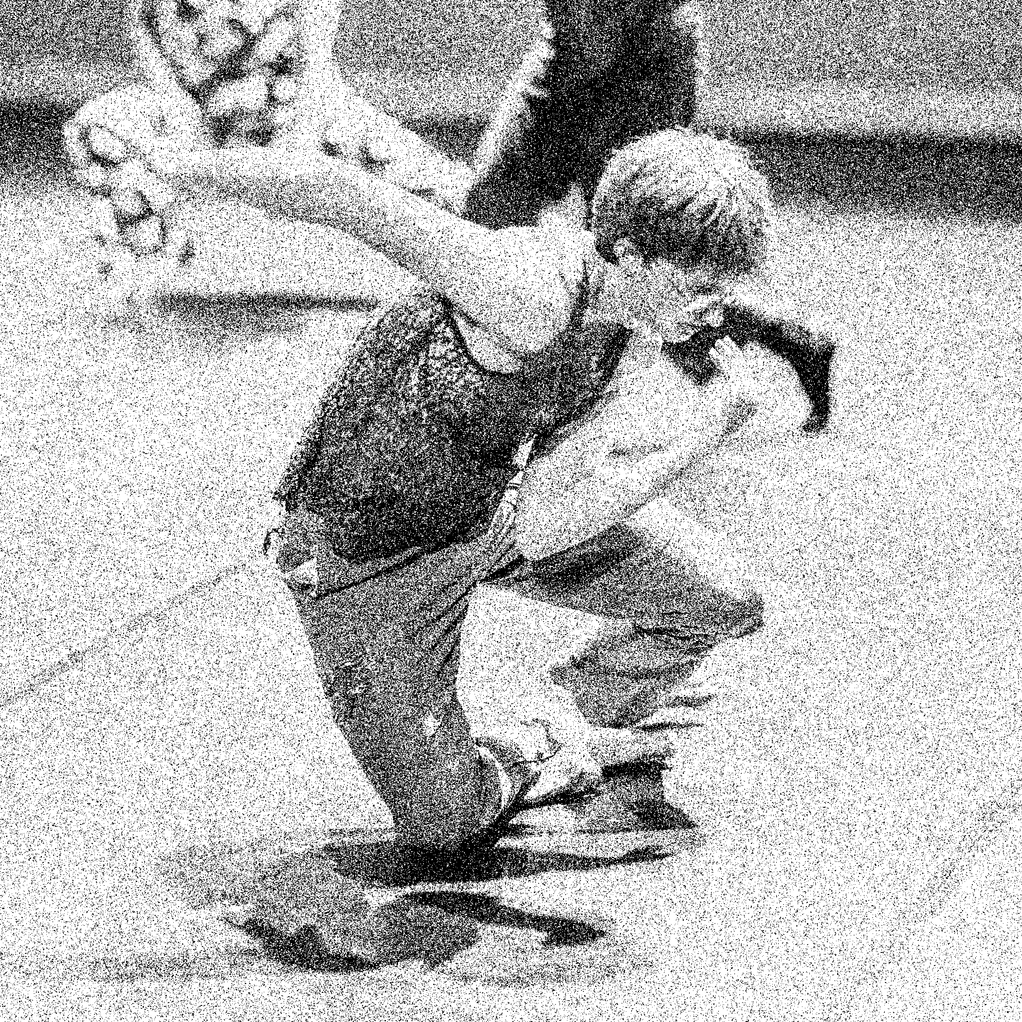 PROFESSIONAL COHORTS